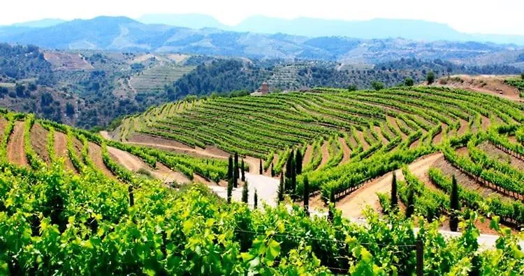 Villa Wine Experience Salou Center - Spa & Wine